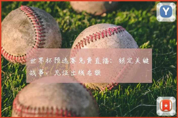 世界杯预选赛免费直播：锁定关键战事，见证出线名额