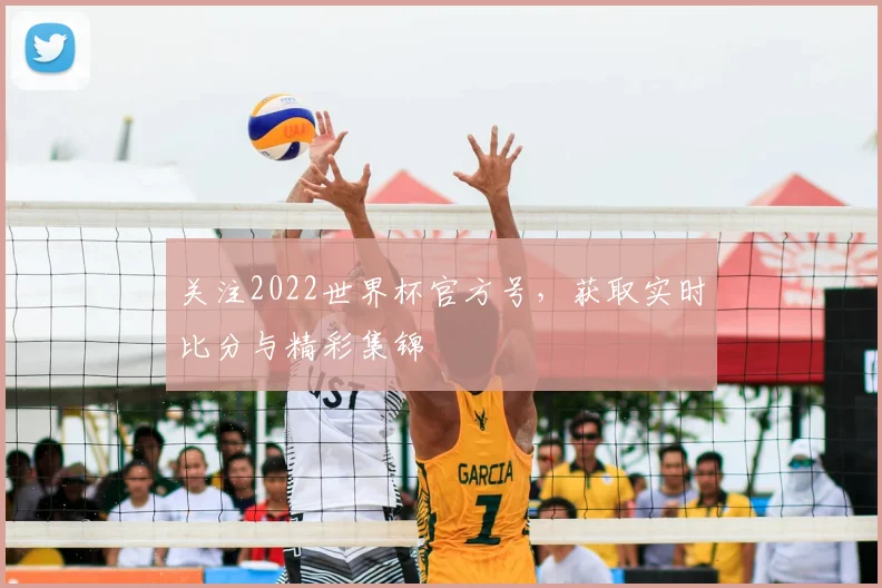 关注2022世界杯官方号，获取实时比分与精彩集锦