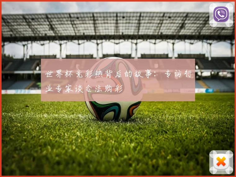 世界杯竞彩热背后的故事：专访行业专家谈合法购彩