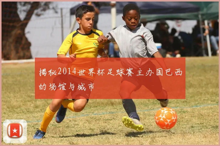 揭秘2014世界杯足球赛主办国巴西的场馆与城市