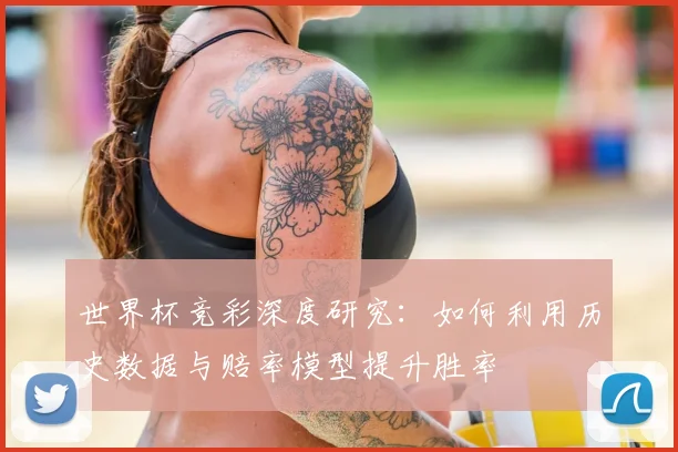世界杯竞彩深度研究：如何利用历史数据与赔率模型提升胜率