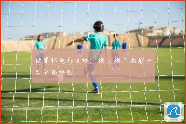 世界杯竞彩攻略：线上线下购彩平台全面评测