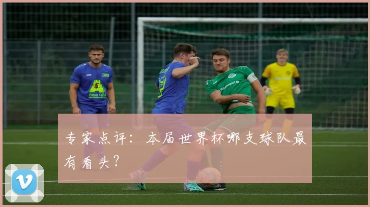 专家点评：本届世界杯哪支球队最有看头？