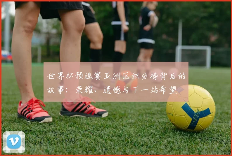 世界杯预选赛亚洲区积分榜背后的故事：荣耀、遗憾与下一站希望